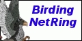 Birding NetRing